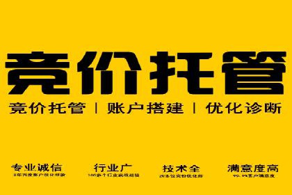 实战解析：SEO与SEM结合案例研究